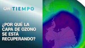 Por disminución de contaminantes: La capa de ozono se está recuperando