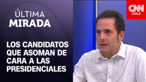Hugo Herrera: “Da la impresión que la candidatura de Matthei no avanzara”