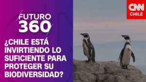 ¿Chile está invirtiendo lo suficiente para proteger su biodiversidad? | Futuro 360